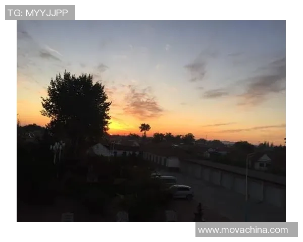 足球明星与女友携手走过岁月的甜蜜旅程与感人故事