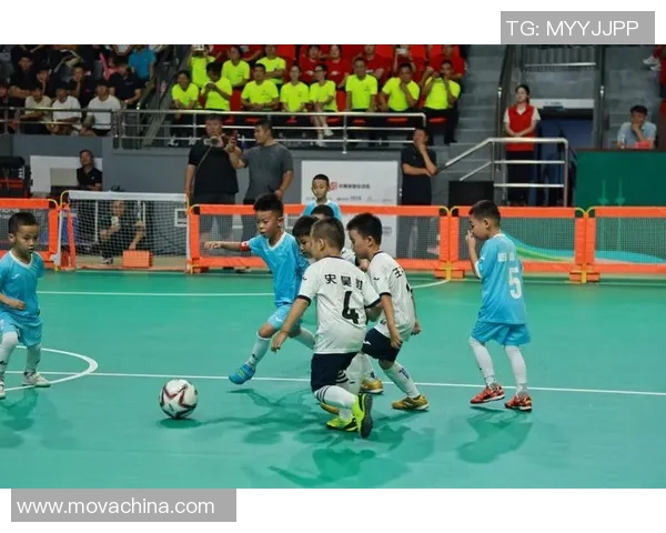 足球明星专访揭秘：他们的梦想与奋斗故事全在这里